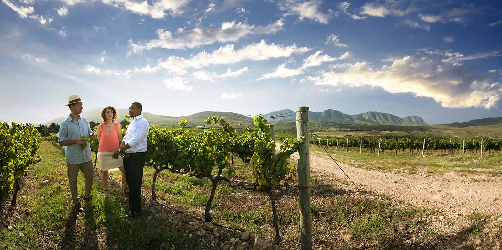 טעימות יין בדרום אפריקה אפריקני אפריקה למתפנקים