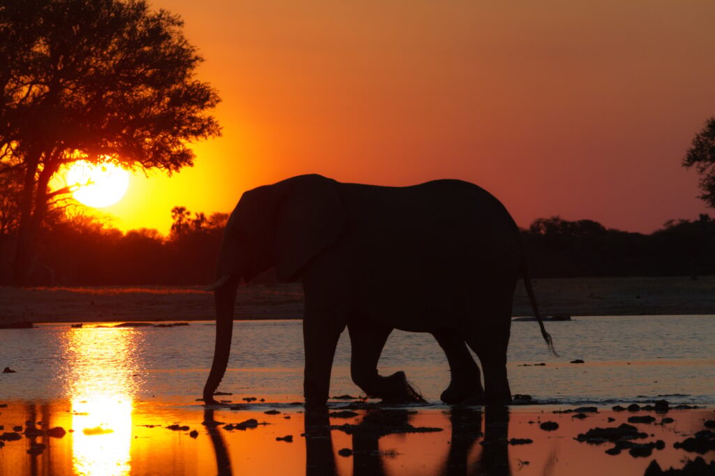 Zimbabwean Sunset